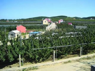 胡家村党支部旧址